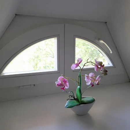 Haus Koppelweg Fw-fisch Apartament